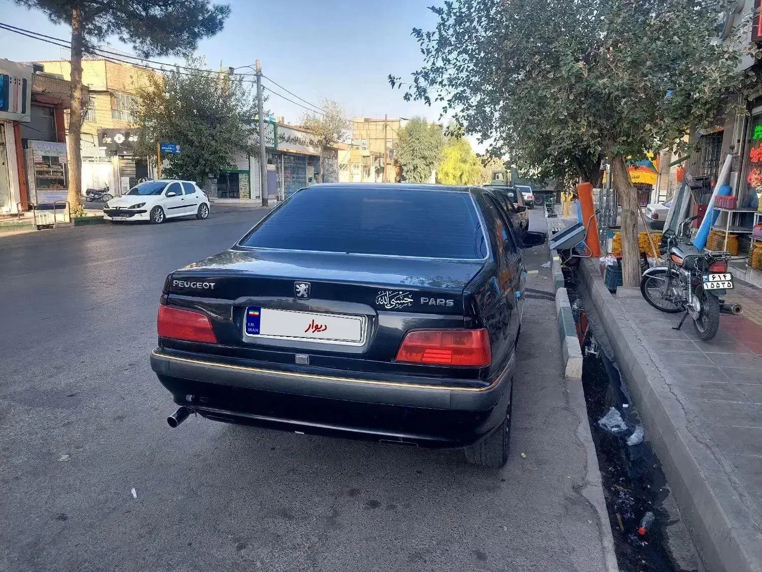 پژو پارس ELX-XU7P سفارشی - 1389