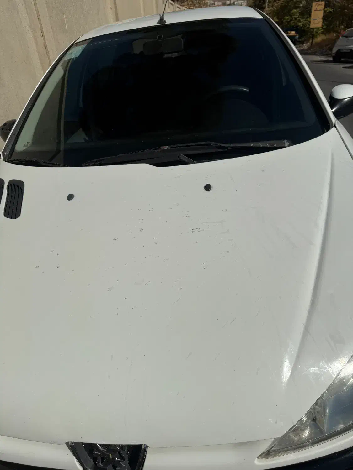 پژو ۲۰۶ صندوق دار v8 - 1394