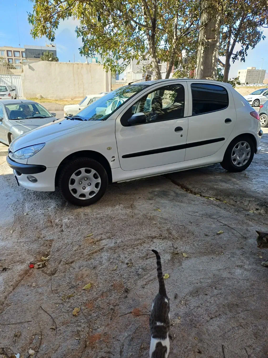 خودرو پژو، 206 آگهی ann_20884522
