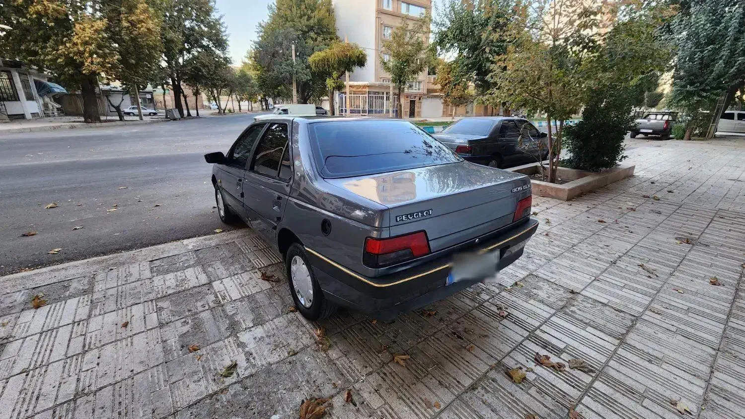 پژو 405 GLX - دوگانه سوز - 1395