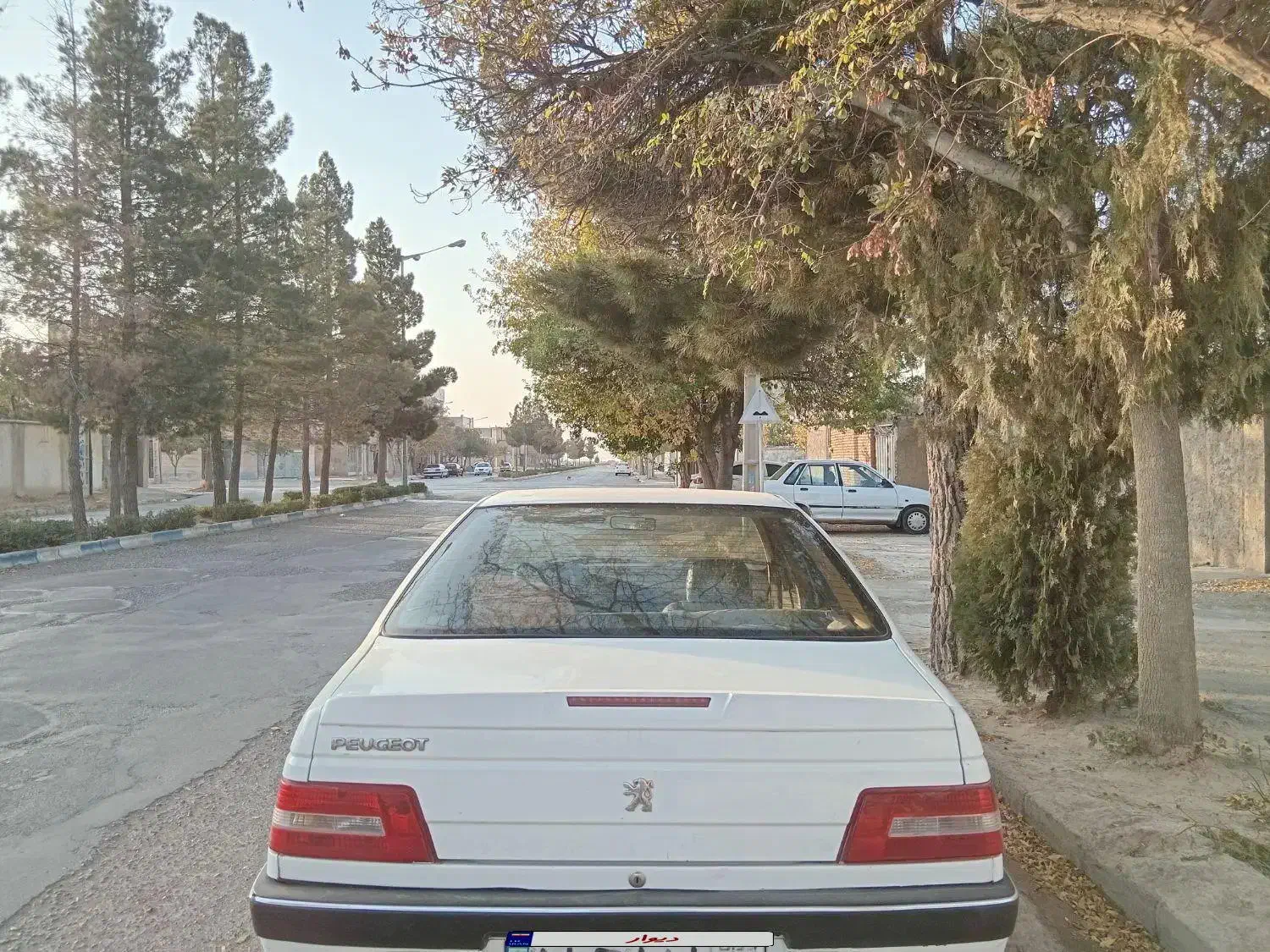 پژو 405 SLX بنزینی TU5 - 1391