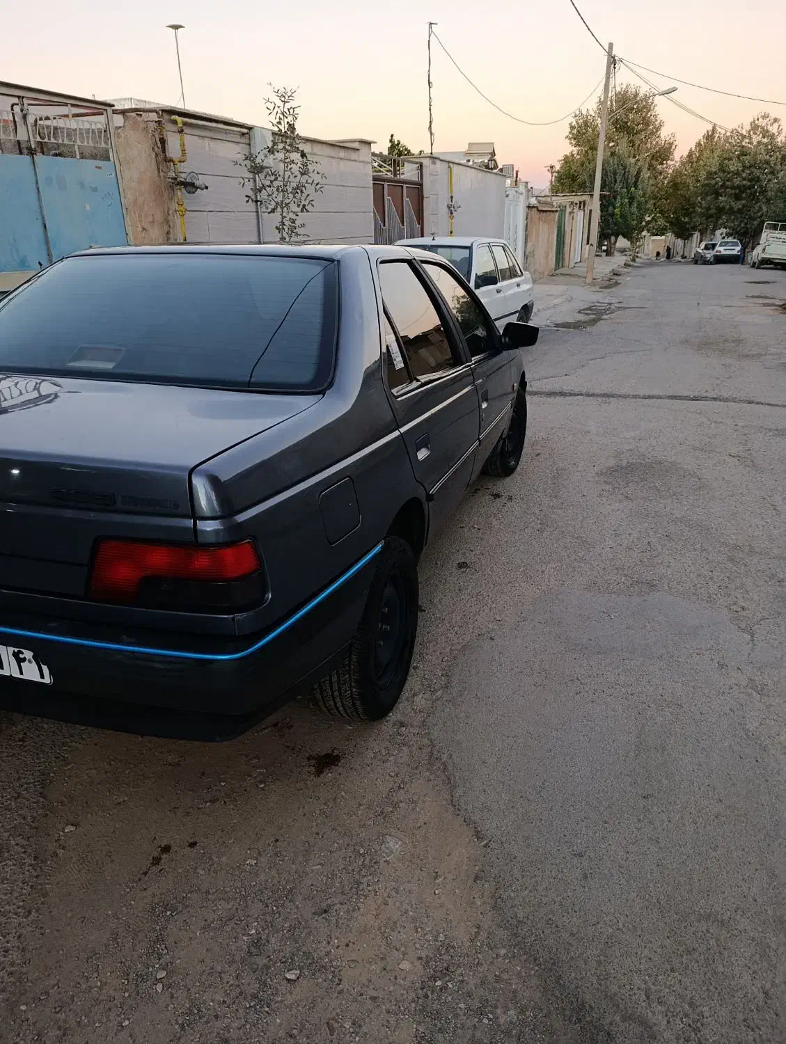پژو 405 GLX - دوگانه سوز - 1394