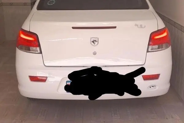 رانا پلاس سقف فلز ESP - 1403