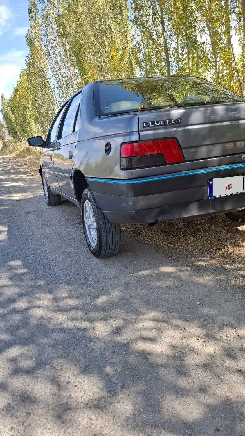 پژو 405 GLX - دوگانه سوز - 1396