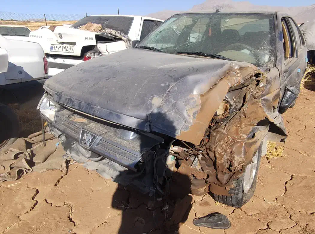 پژو 405 GLX - دوگانه سوز - 1395