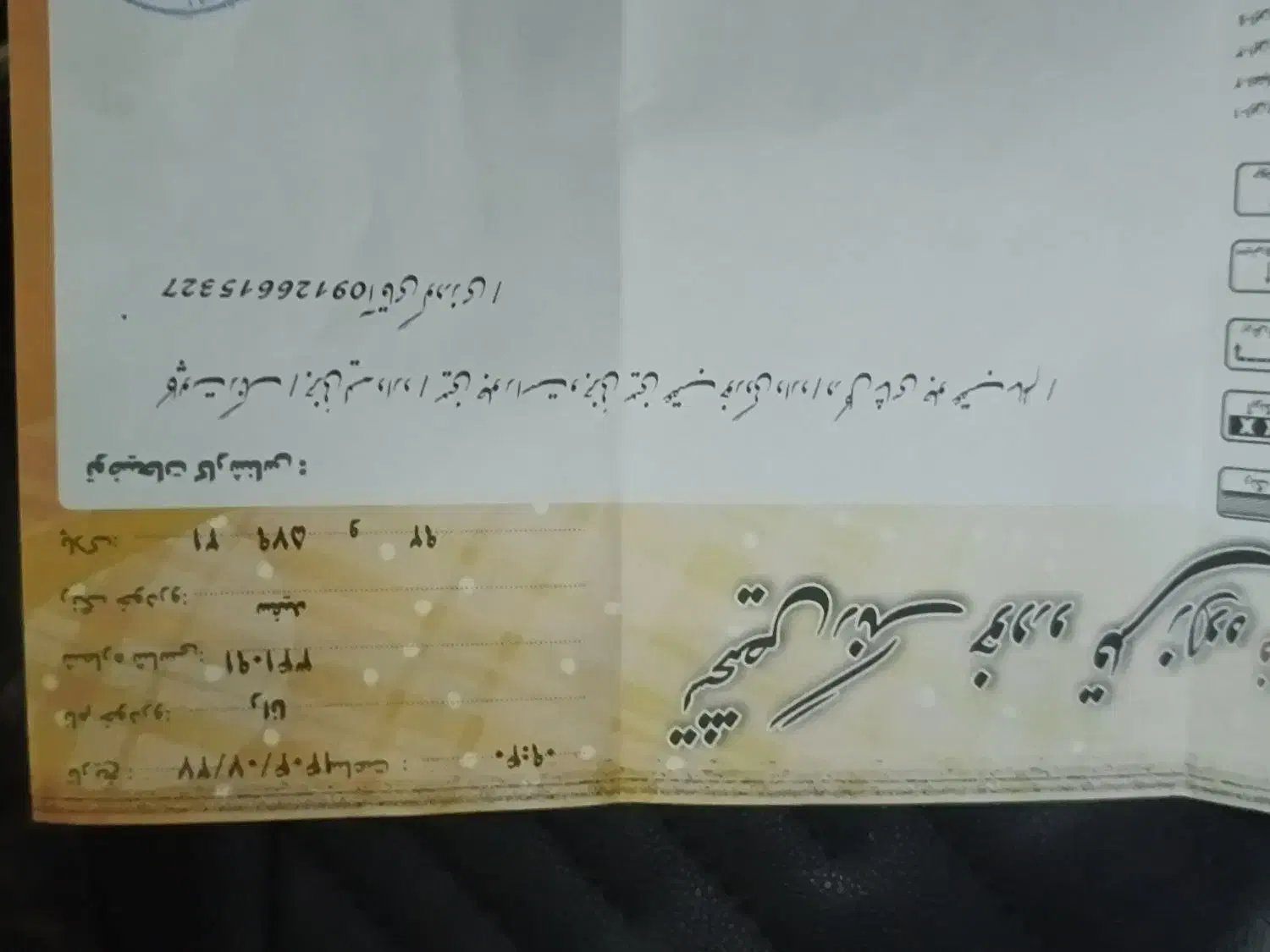 رانا پلاس پانوراما - 1401