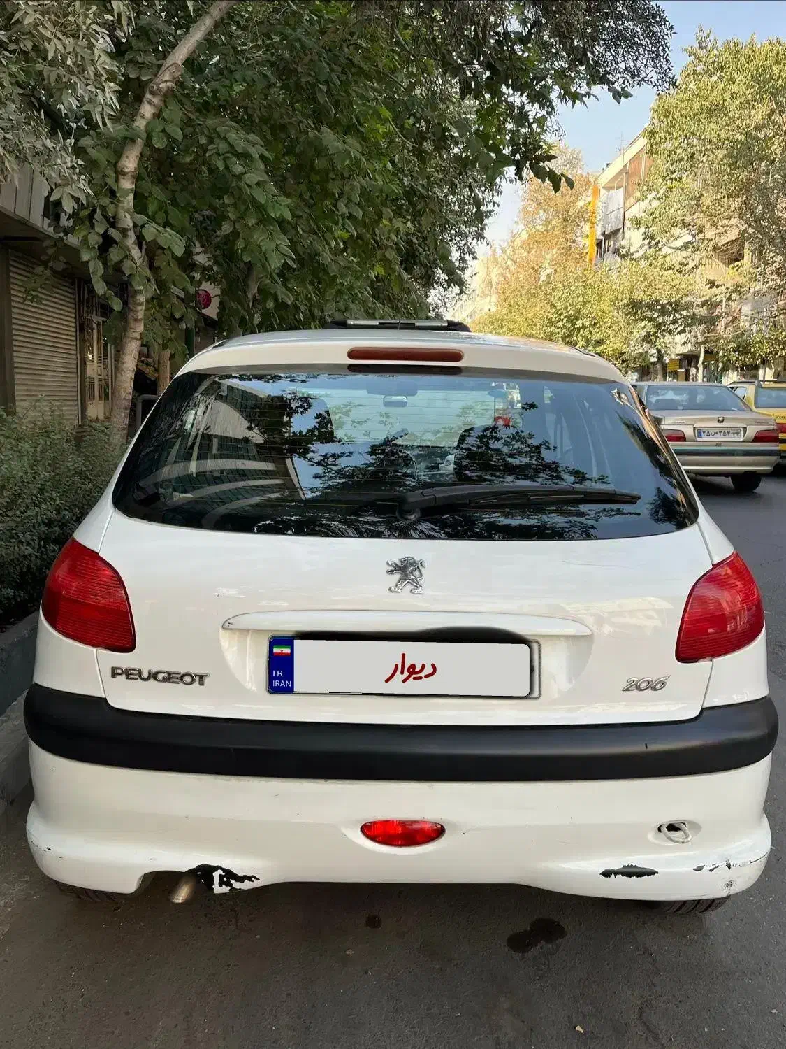 پژو 206 تیپ 2 - 1391