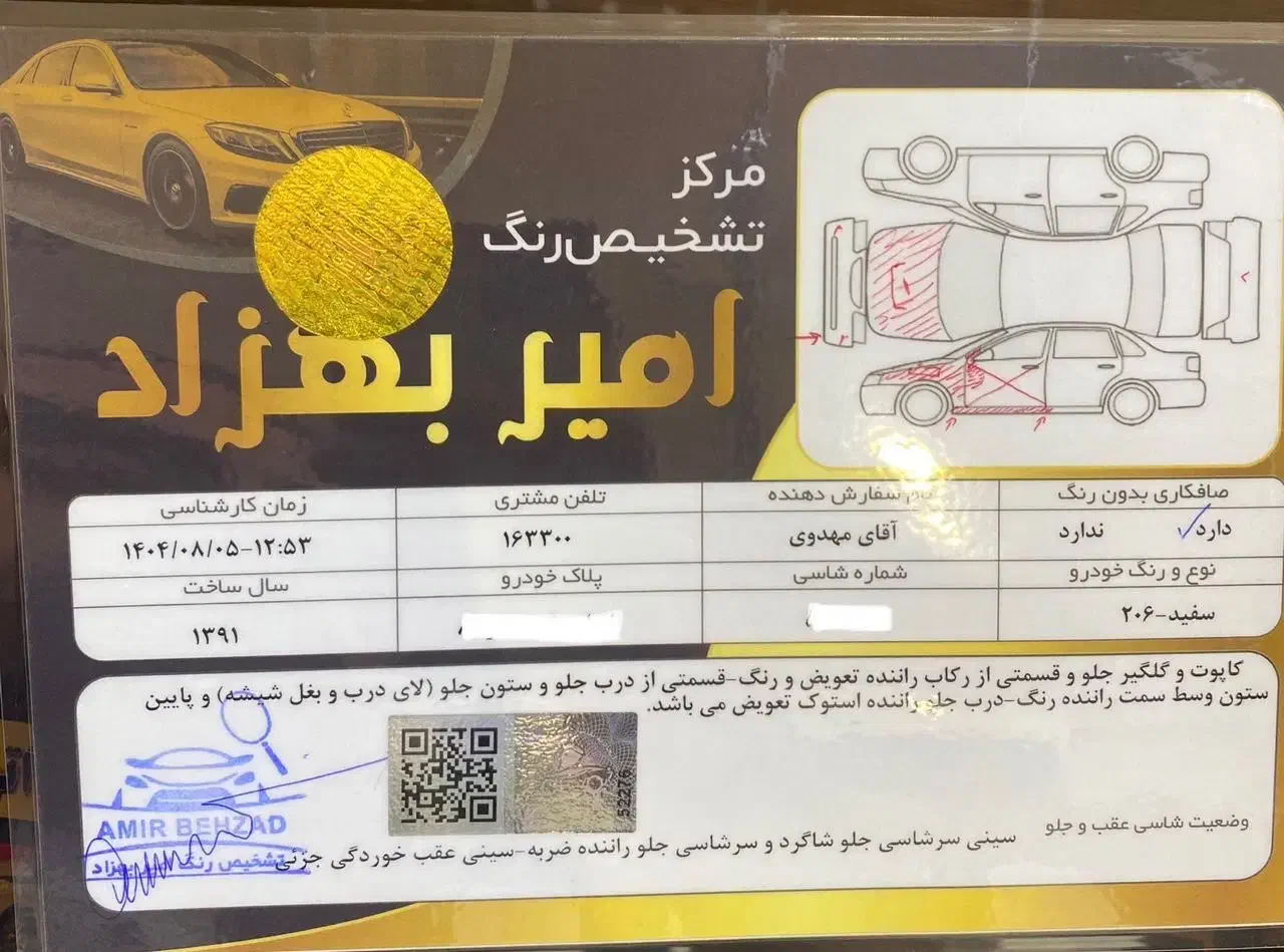 پژو 206 تیپ 2 - 1391