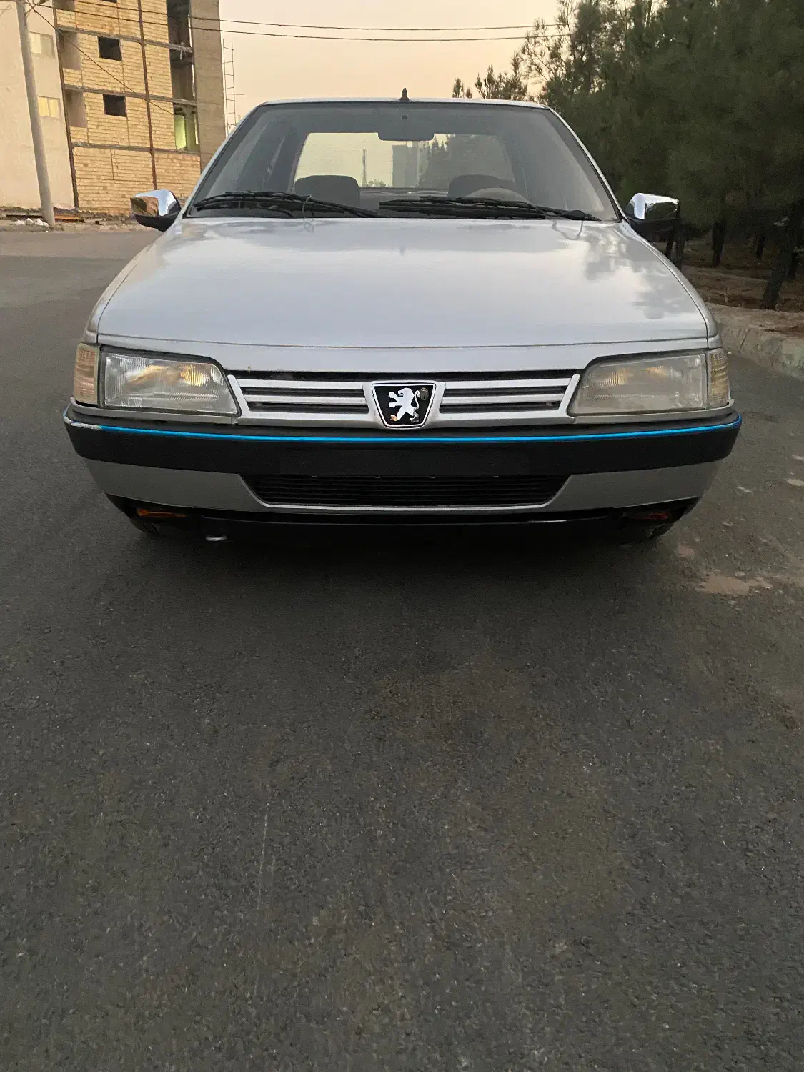 پژو 405 GLX - دوگانه سوز - 1389