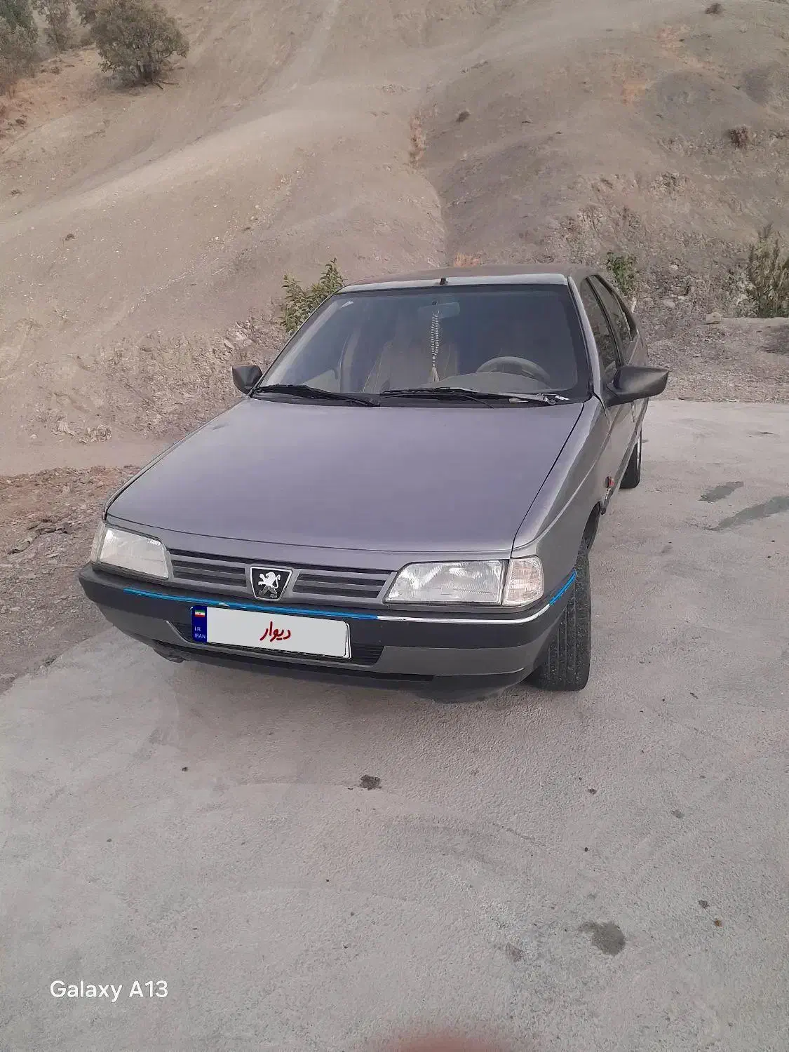پژو 405 GLX - دوگانه سوز - 1391