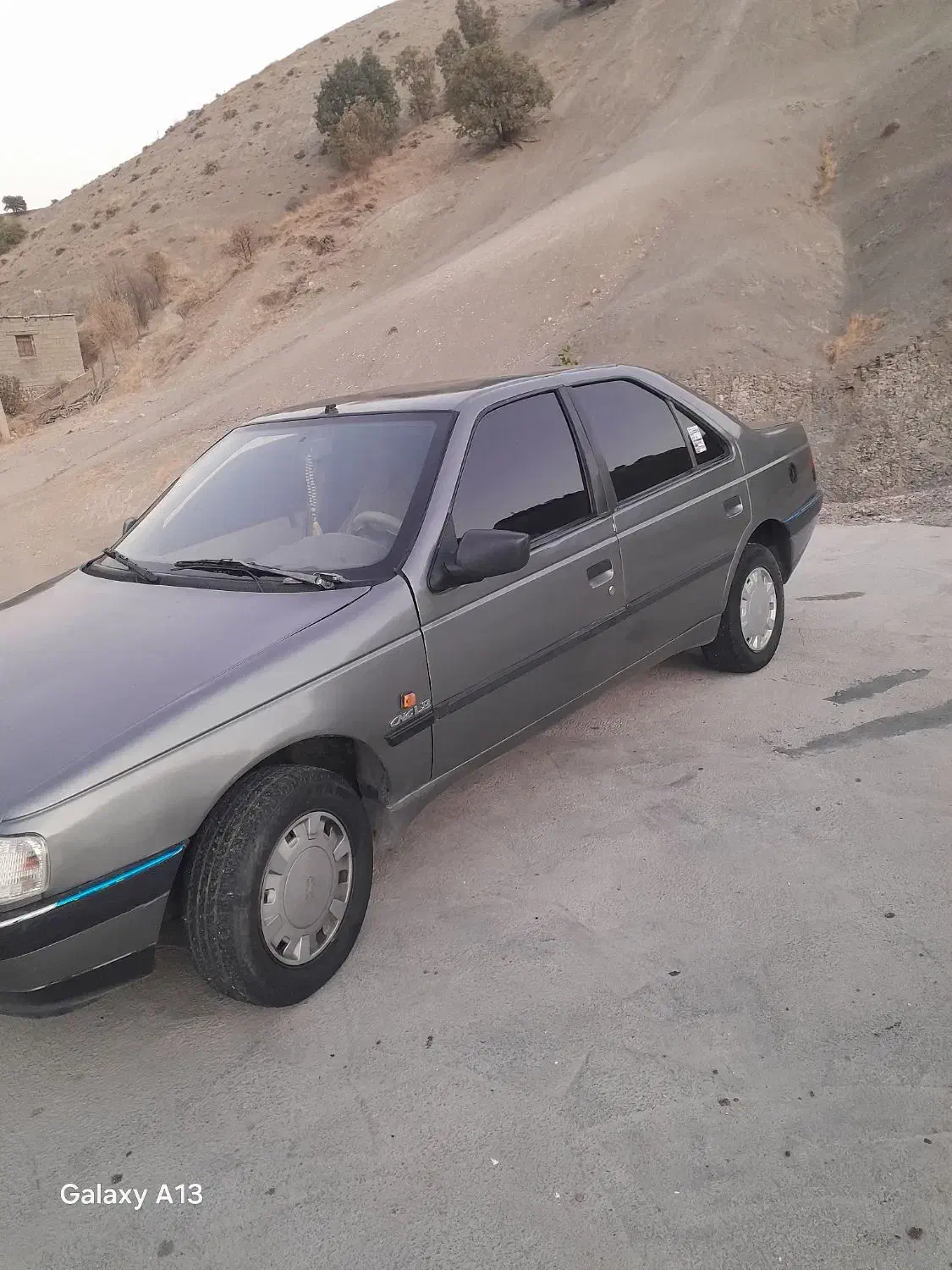 پژو 405 GLX - دوگانه سوز - 1391