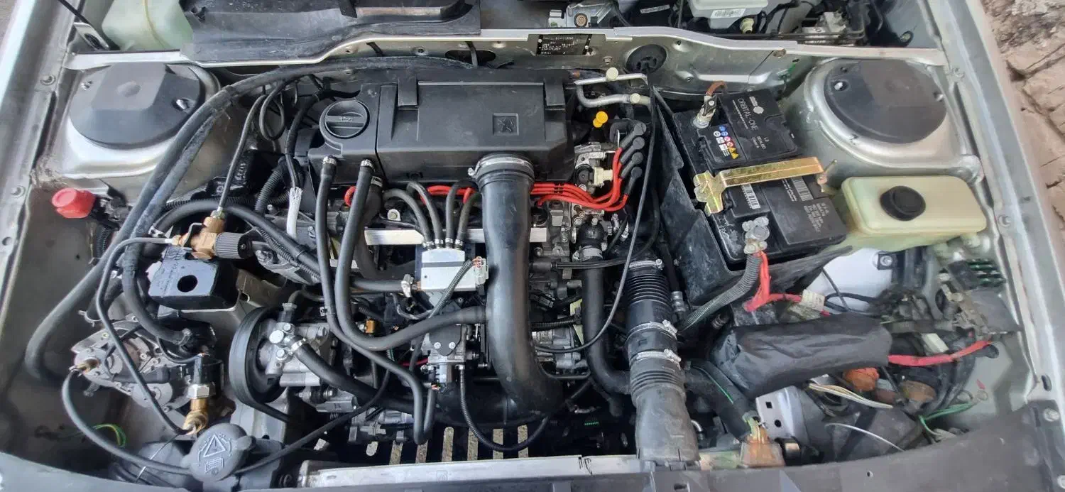 پژو 405 GLX - دوگانه سوز - 1396