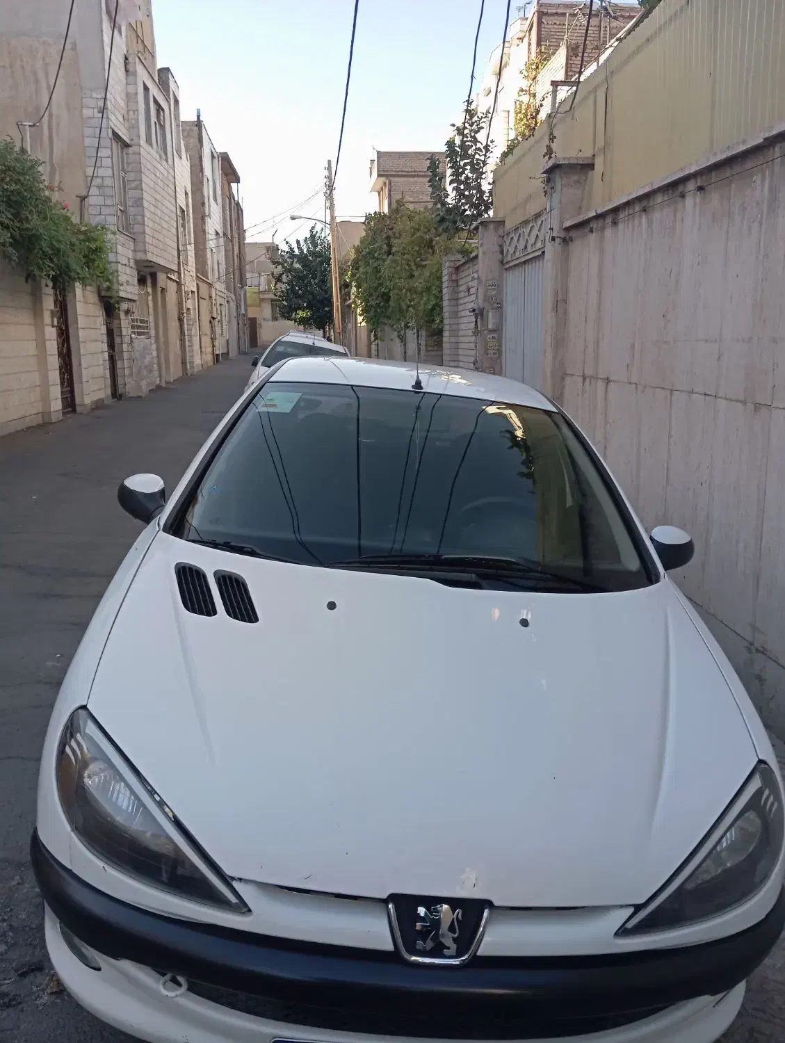 پژو 206 تیپ 2 - 1398