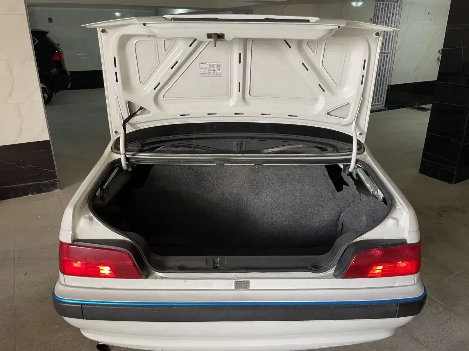 پژو پارس دوگانه سوز - 1389