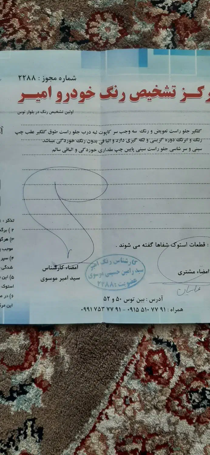 پژو 206 تیپ 2 - 1391