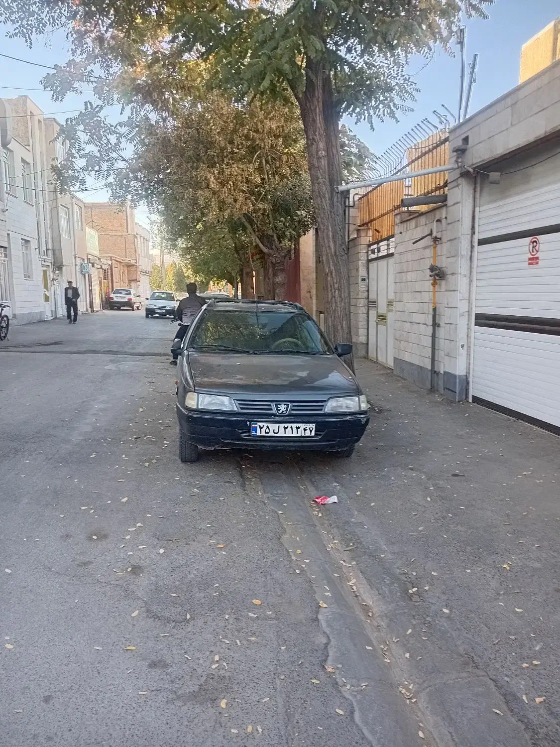 پژو روآ دوگانه سوز - 1387