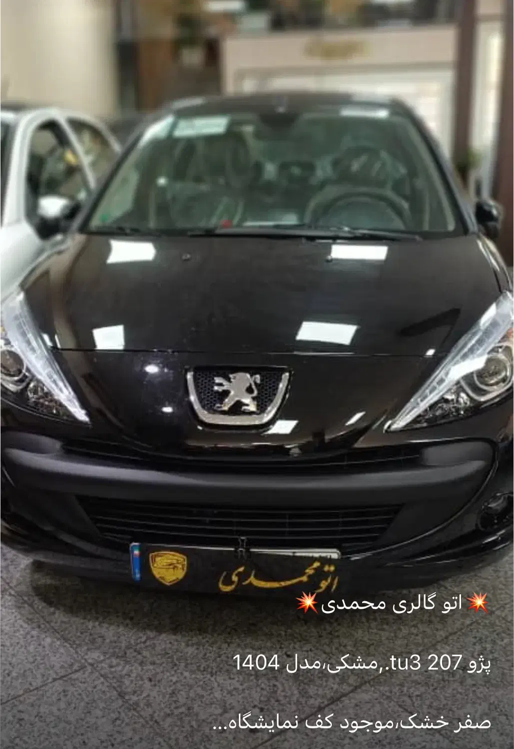 خودرو پژو، 207 آگهی ann_20895436