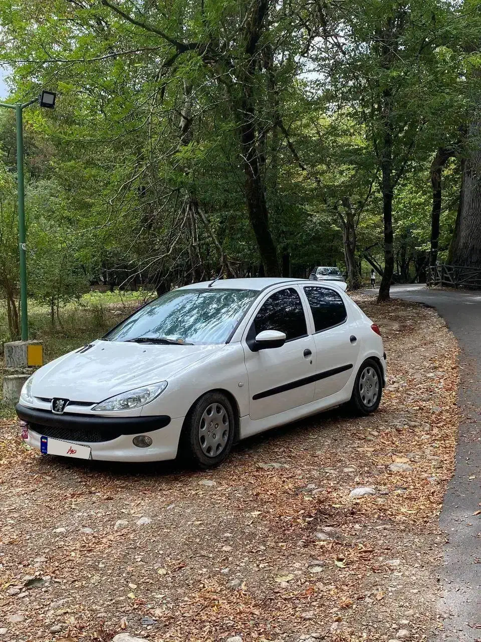 پژو 206 تیپ 2 - 1381