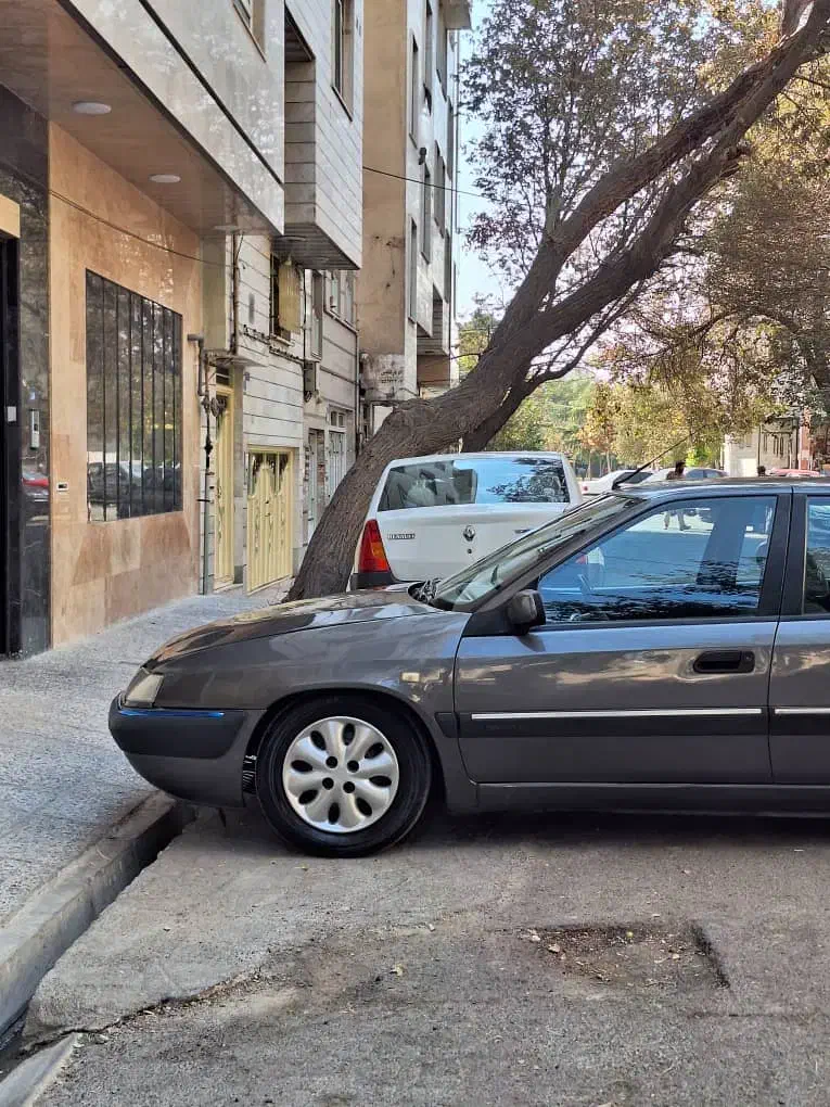 سیتروئن زانتیا SX - 1388