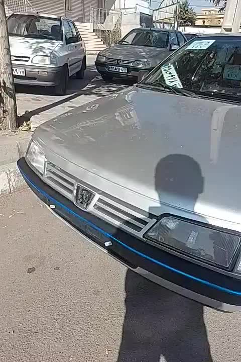 خودرو پژو، 405 آگهی ann_20895765