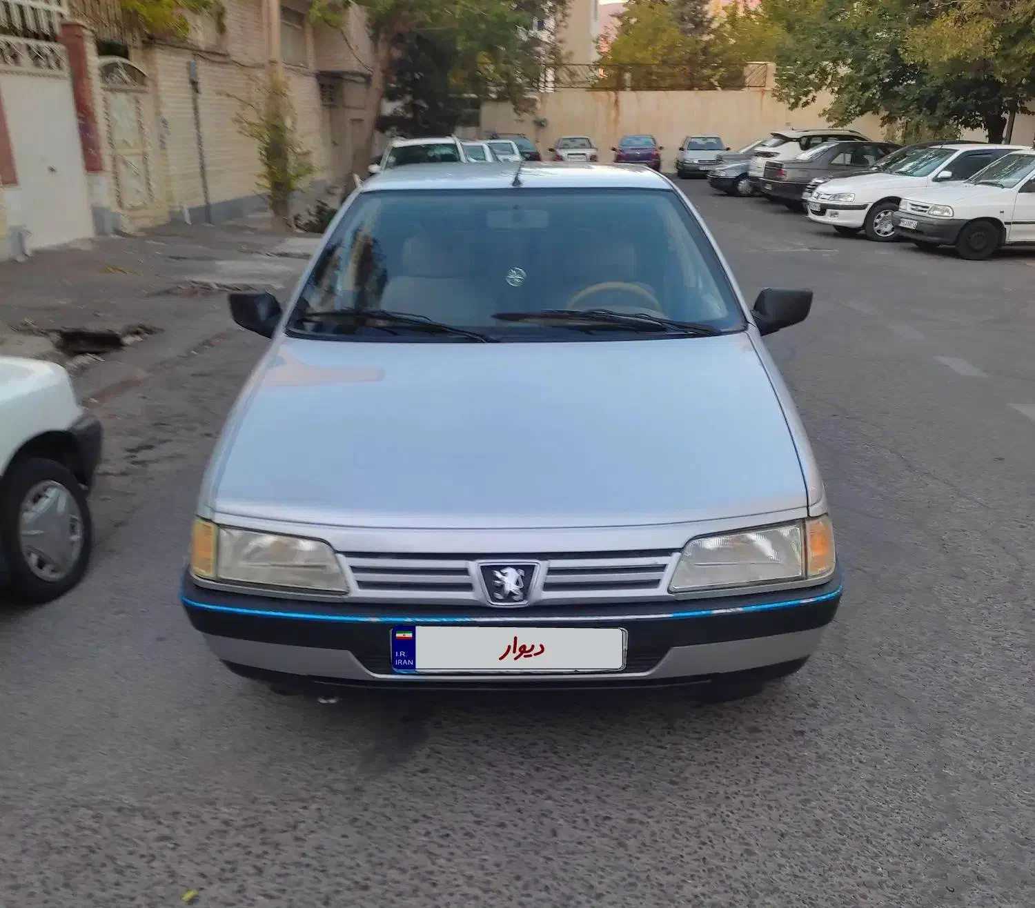 پژو 405 GLX - دوگانه سوز - 1393