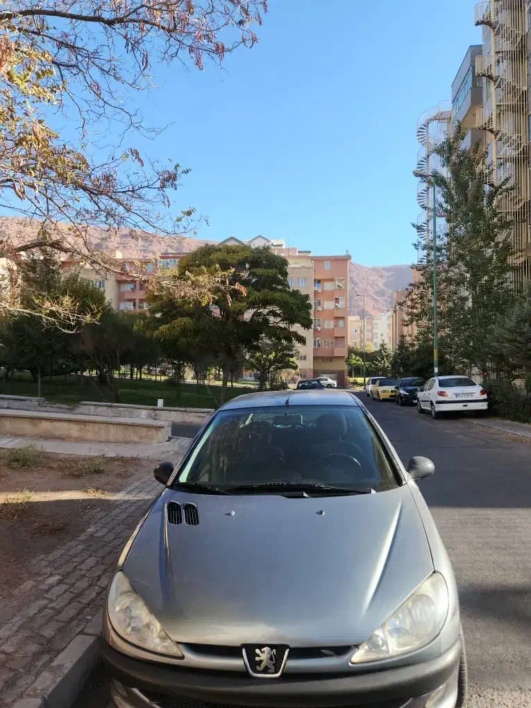 پژو 206 تیپ 3 - 1389