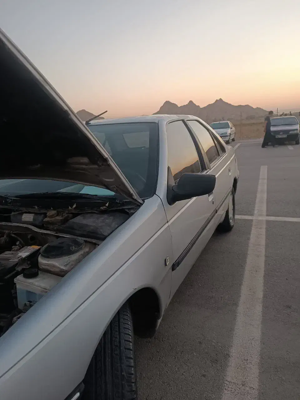 پژو 405 GLX - دوگانه سوز - 1387