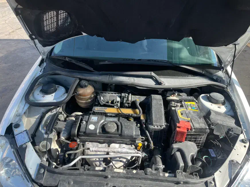 پژو 206 تیپ 2 - 1399