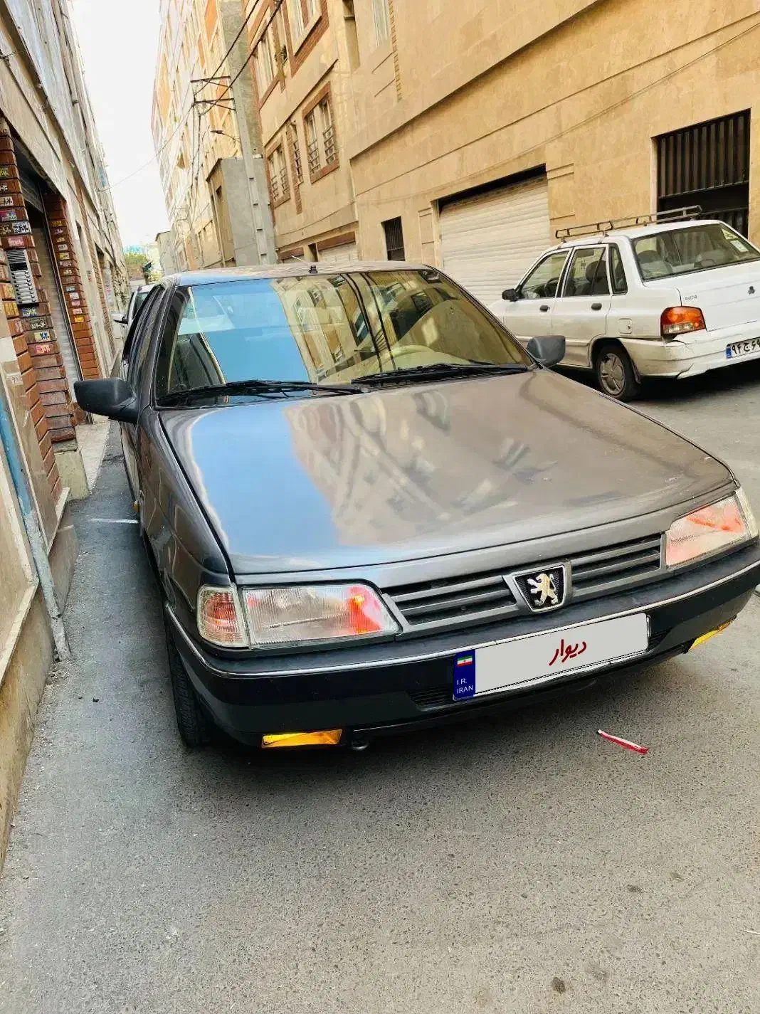 پژو 405 GLX - دوگانه سوز - 1393