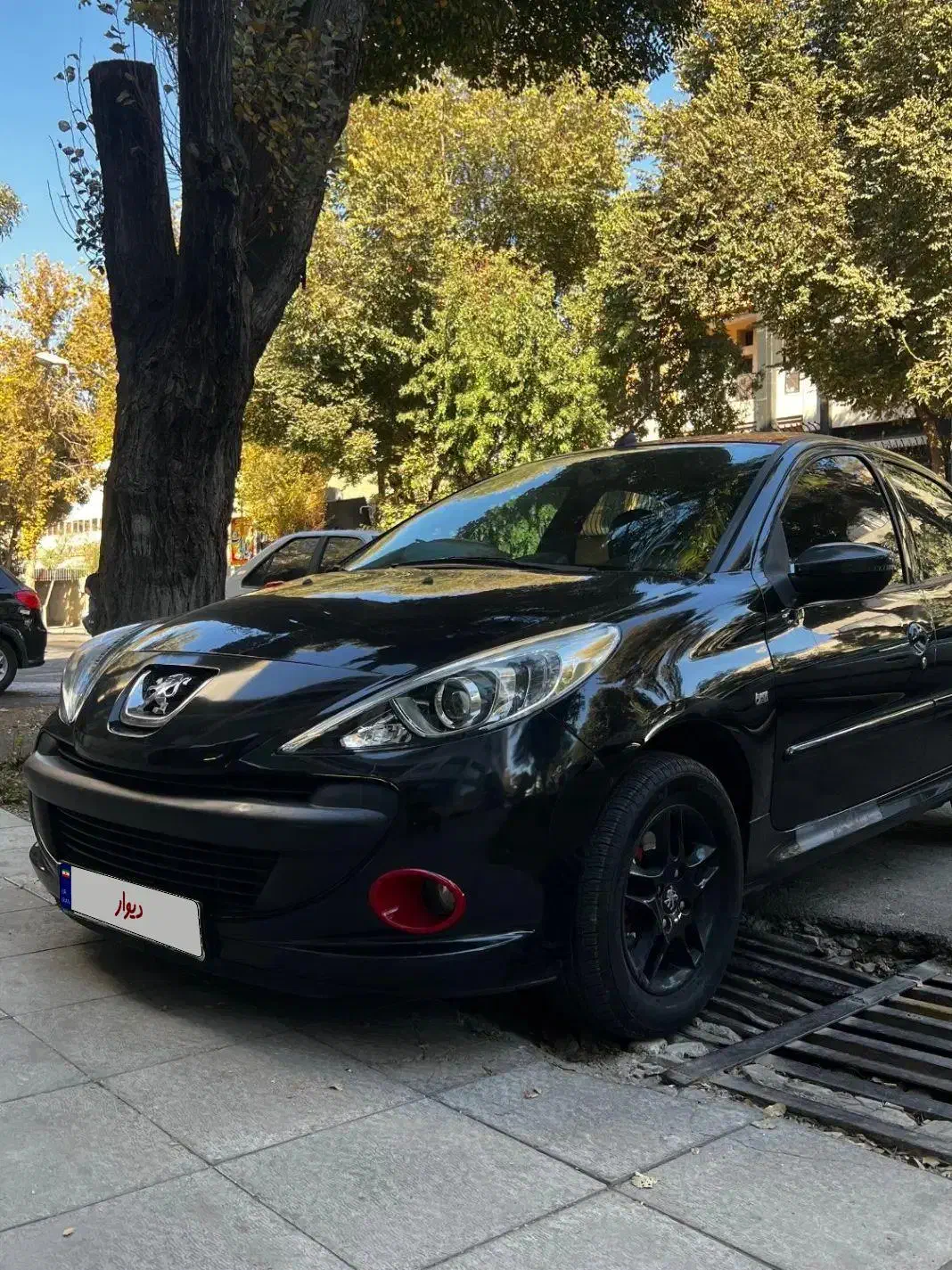 خودرو پژو، 207 آگهی ann_20897733