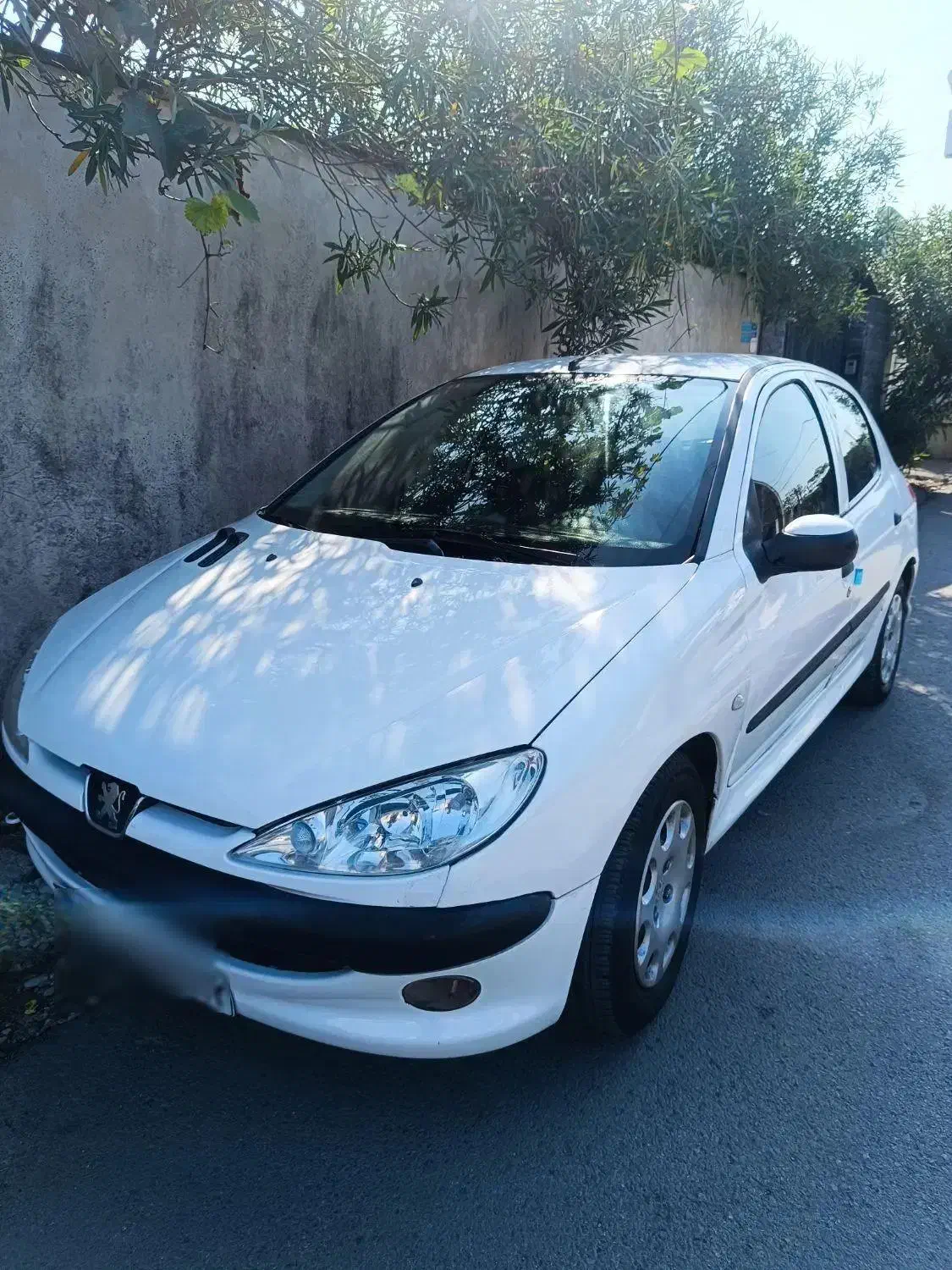 پژو 206 تیپ 5 - 1392