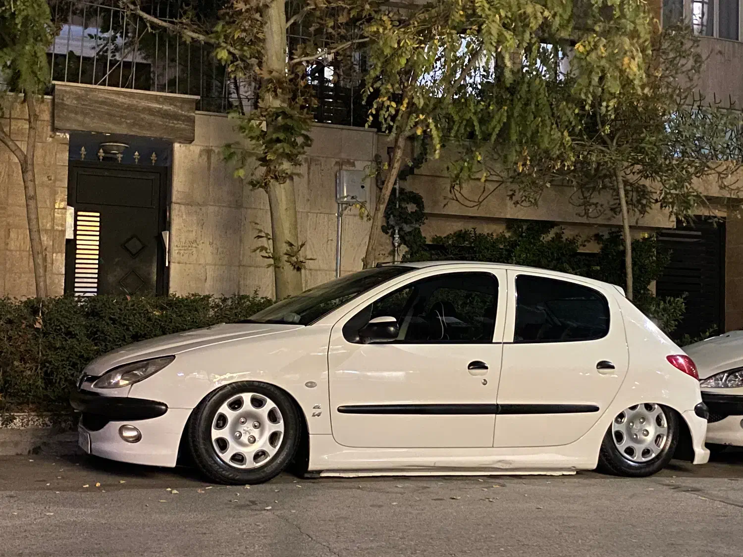 پژو 206 تیپ 2 - 1395