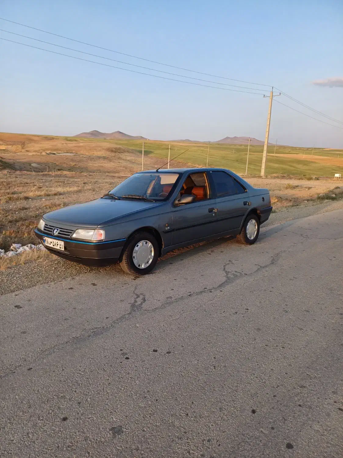 پژو 405 GLX - دوگانه سوز - 1390