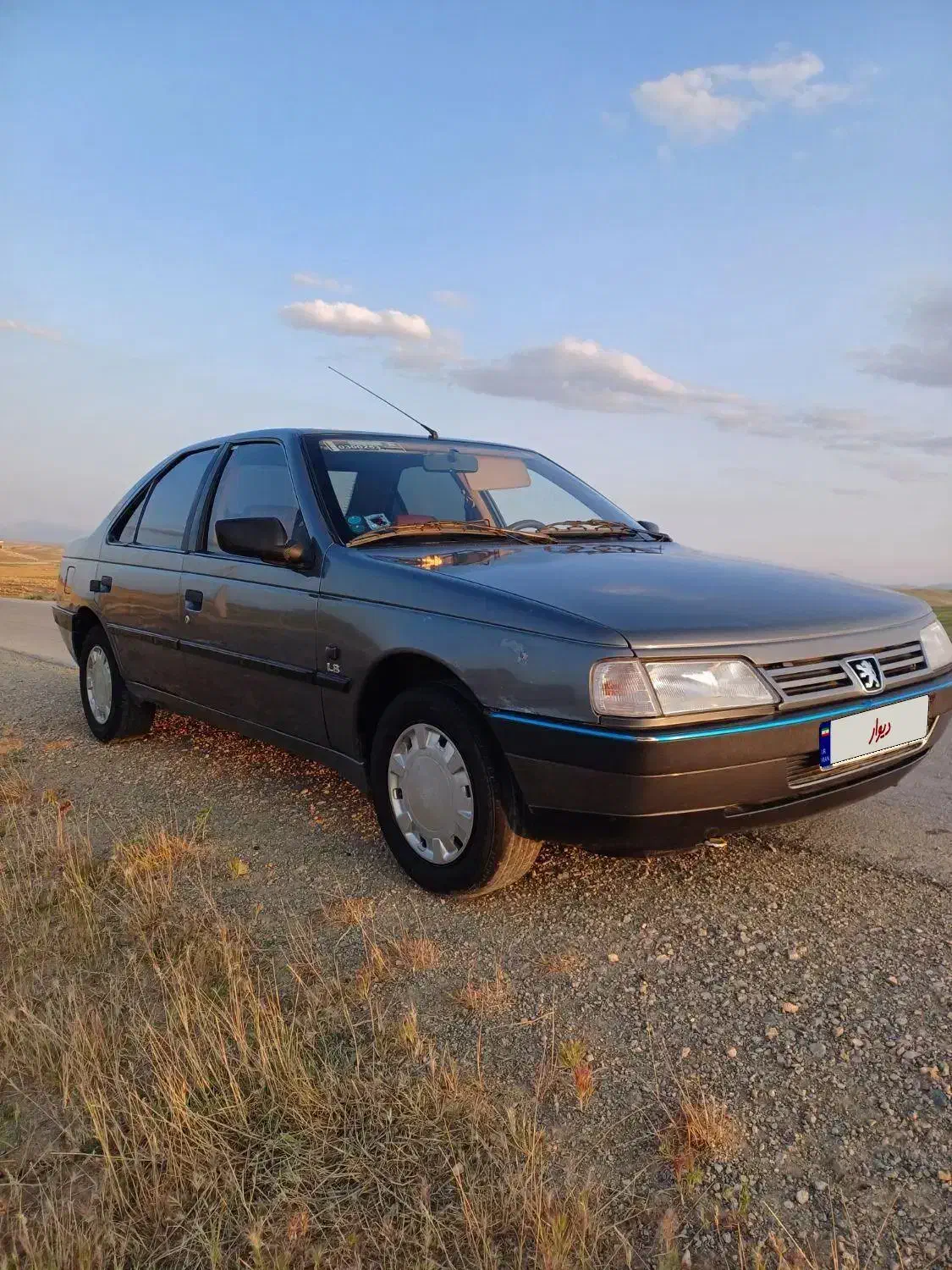 پژو 405 GLX - دوگانه سوز - 1390