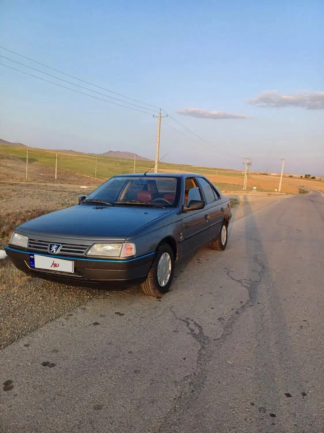 پژو 405 GLX - دوگانه سوز - 1390