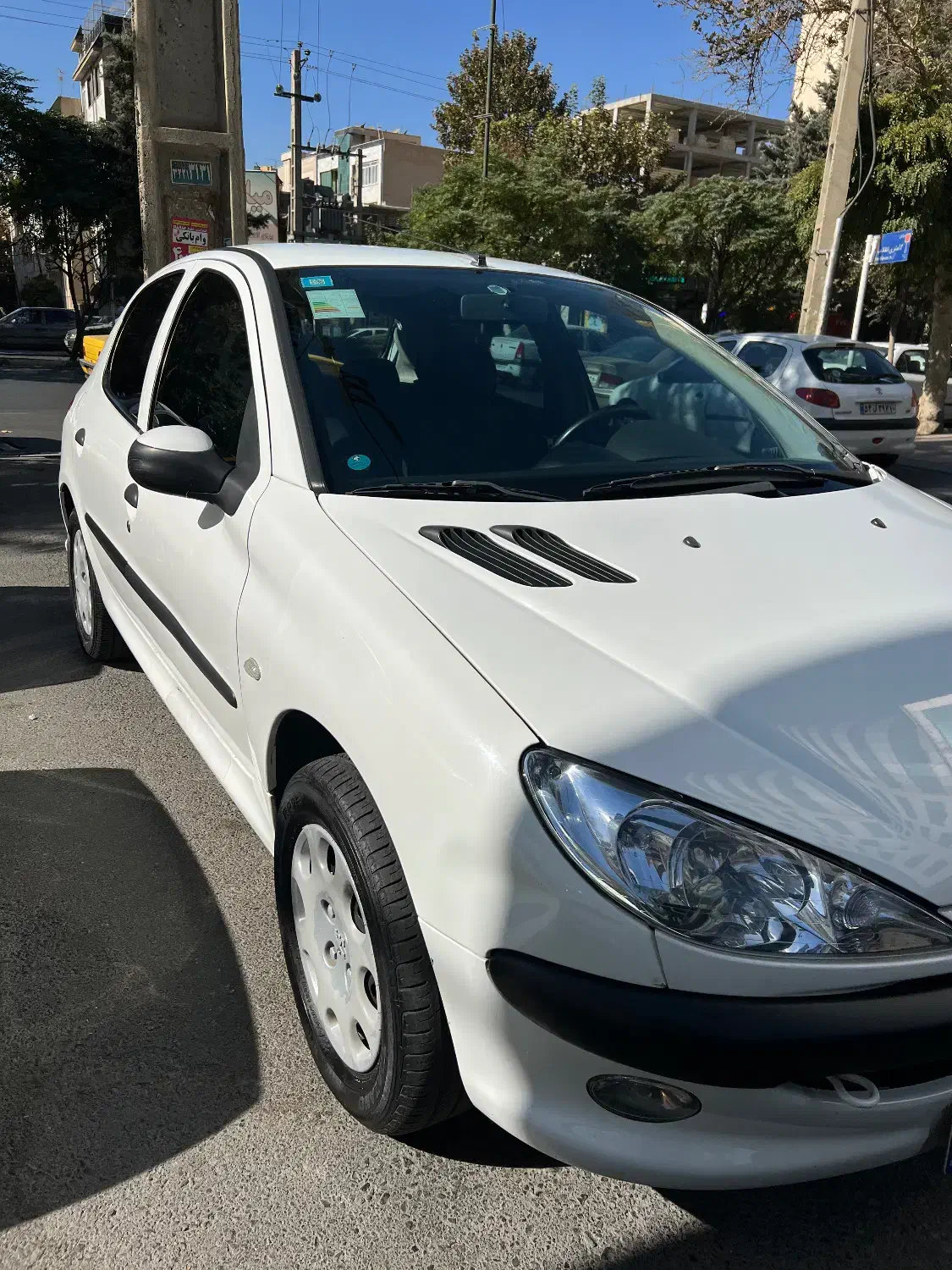 پژو 206 تیپ 2 - 1401