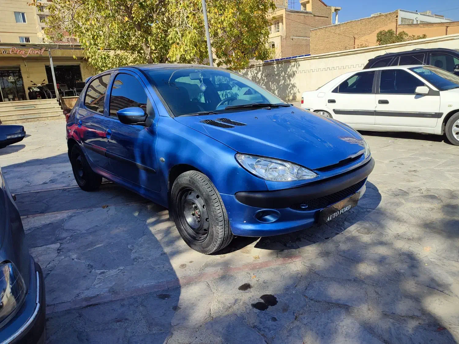 پژو 206 تیپ 5 - 1393