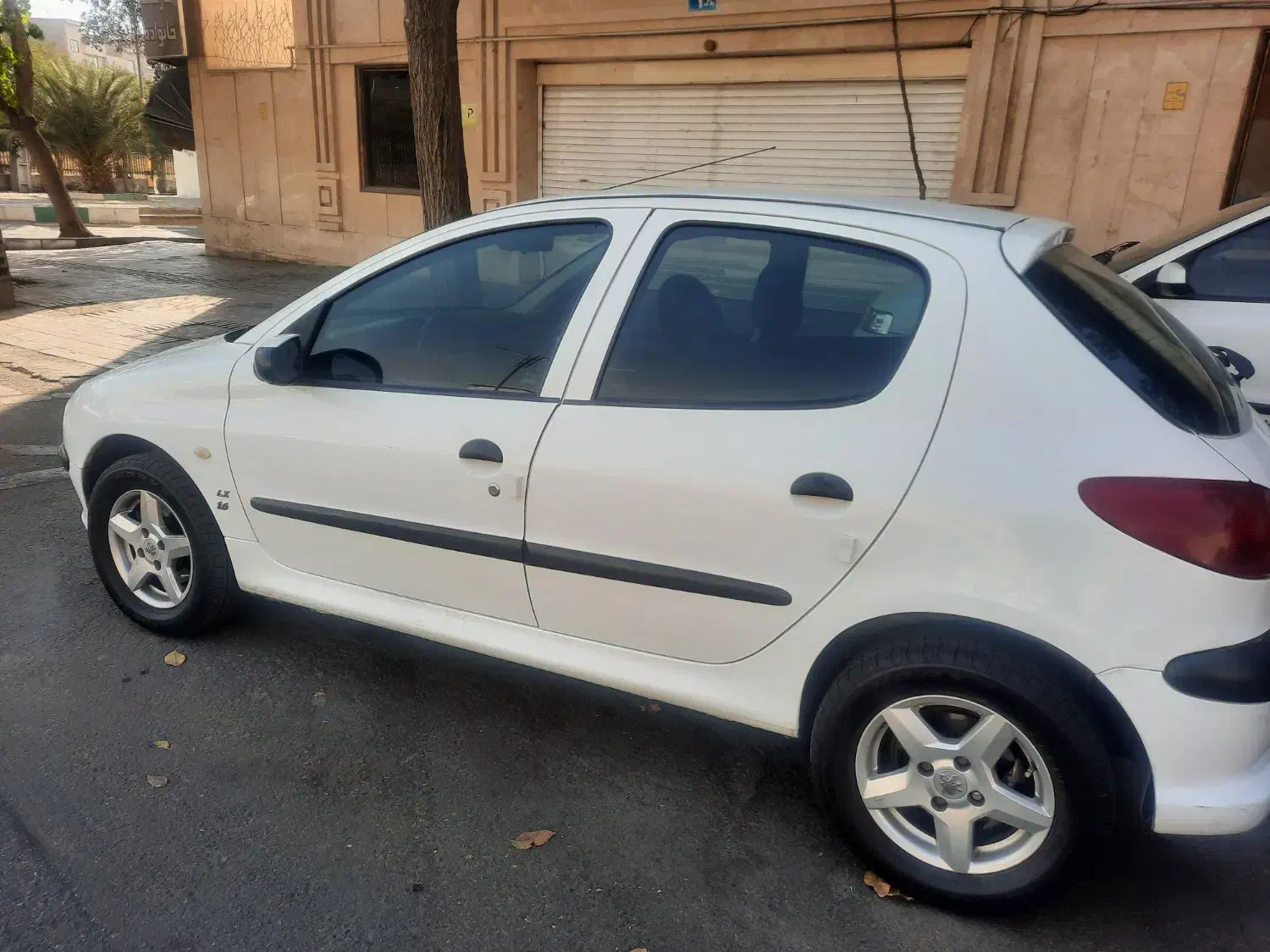 پژو 206 تیپ 5 - 1393