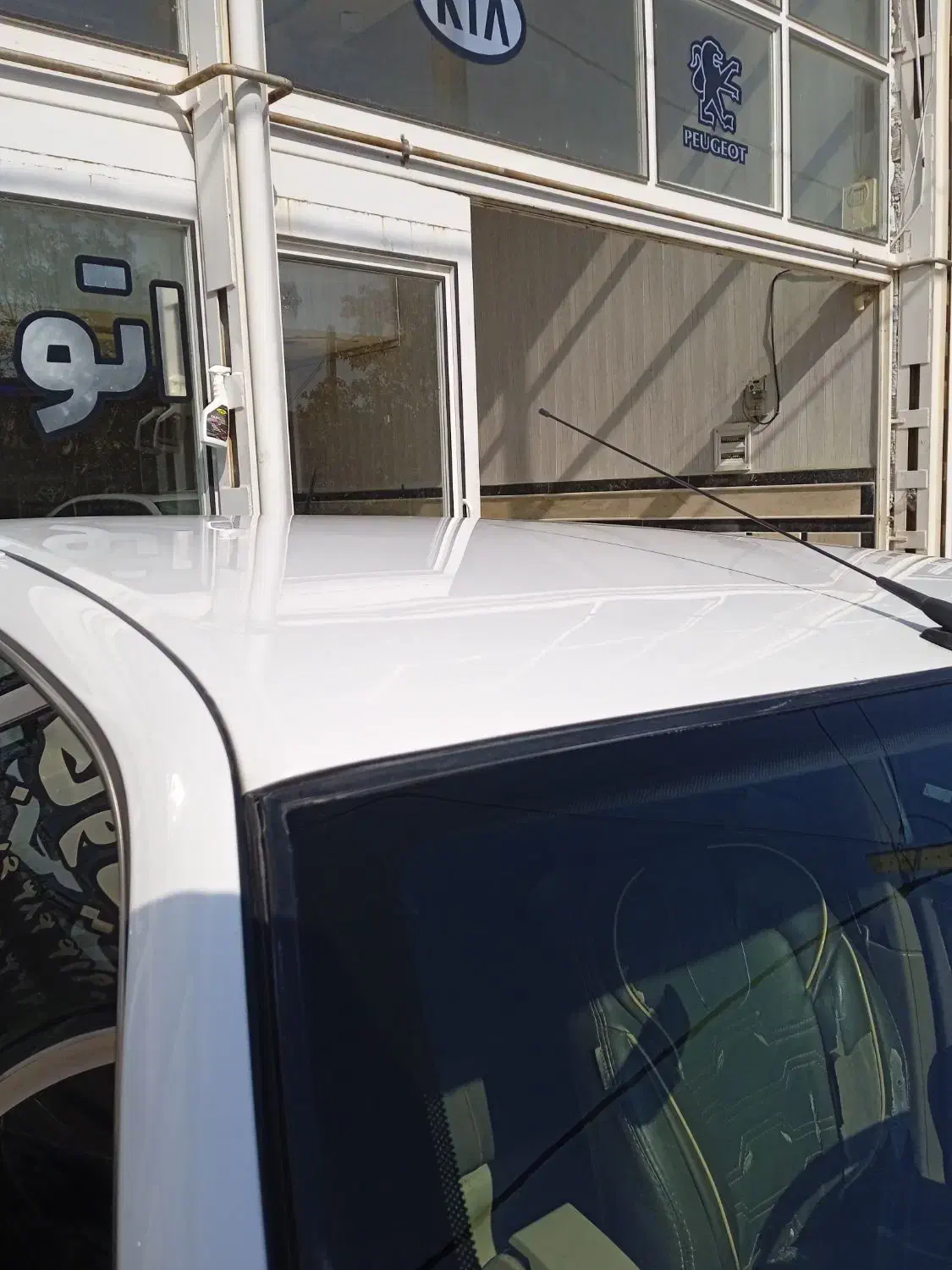 پژو پارس ELX-XU7P سفارشی - 1394