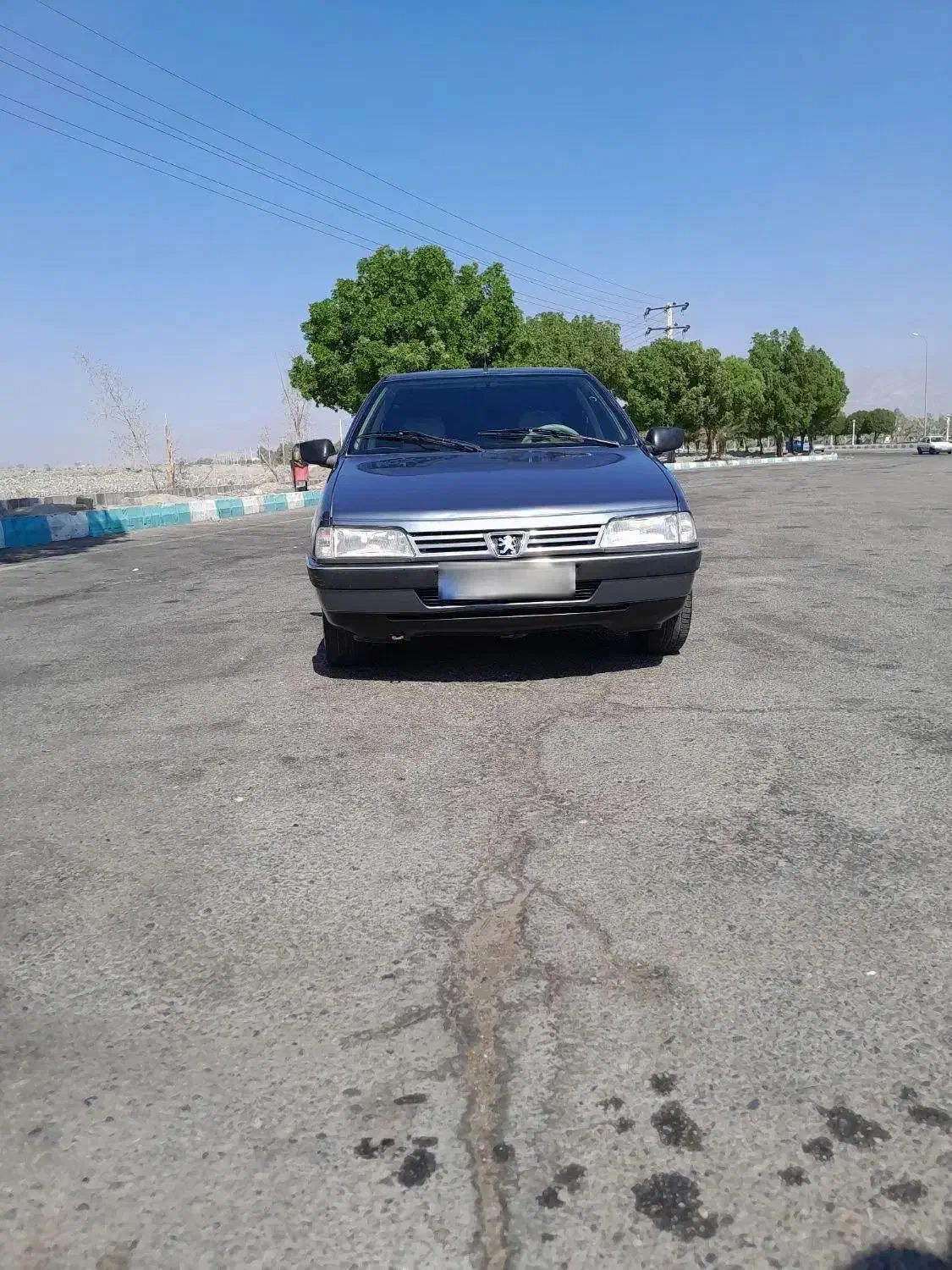 پژو 405 GLX - 1391