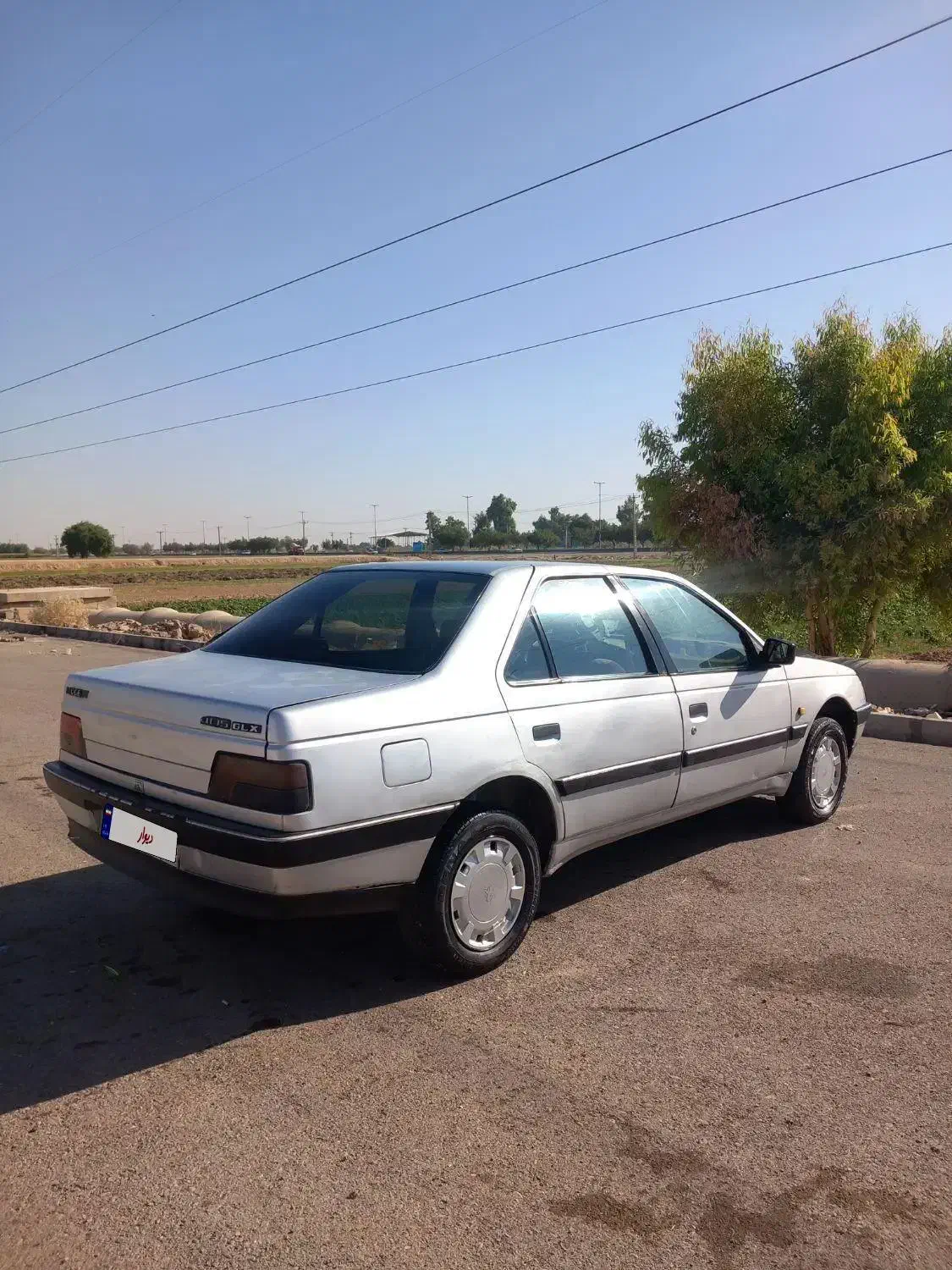 پژو 405 GLX - دوگانه سوز - 1387