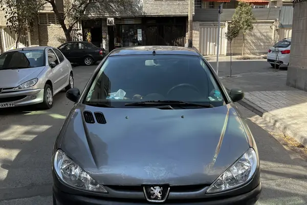 پژو 206 تیپ 2 - 1384