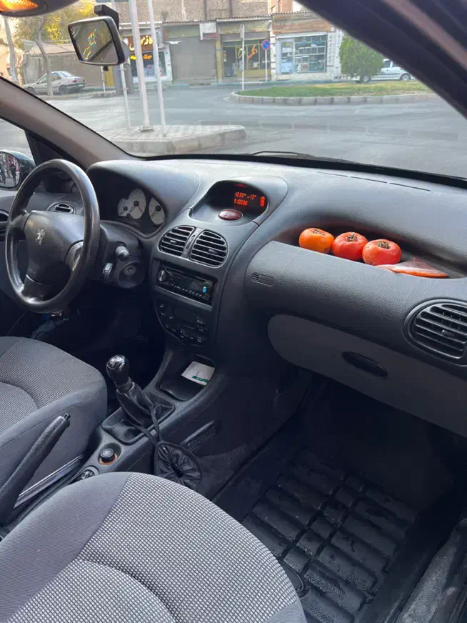 پژو 206 تیپ 5 - 1393