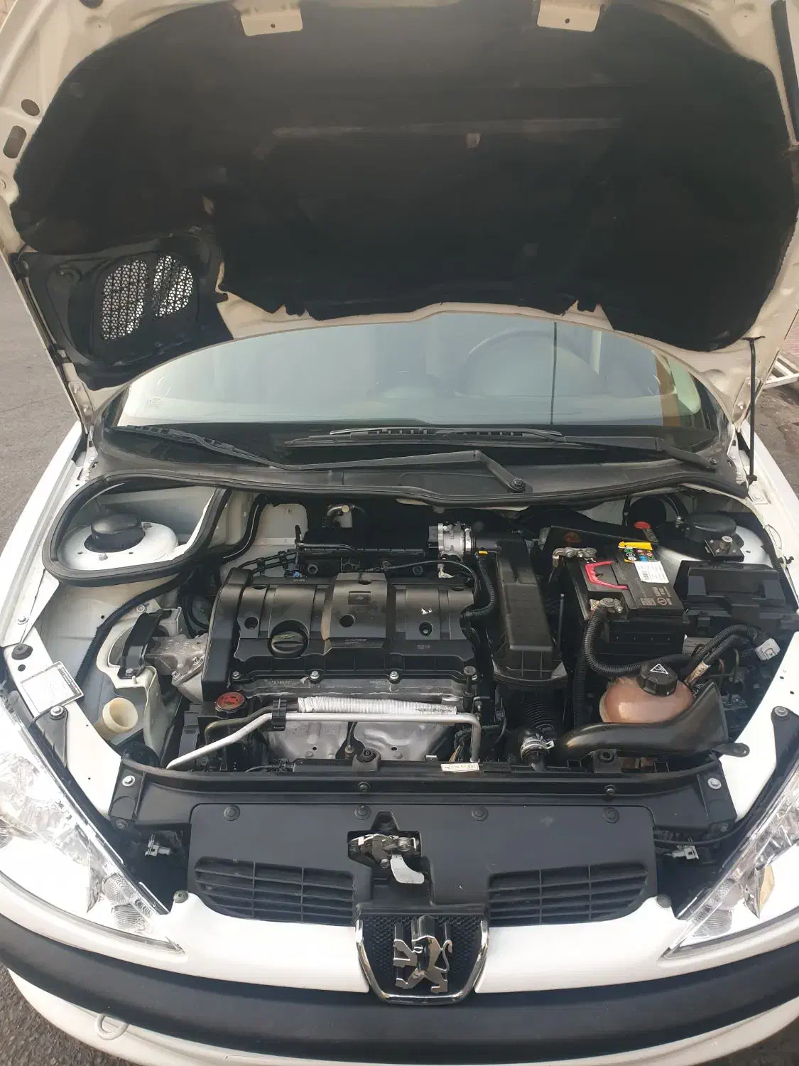 پژو 206 تیپ 5 - 1393