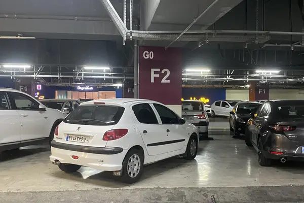 پژو 206 تیپ 5 - 1393