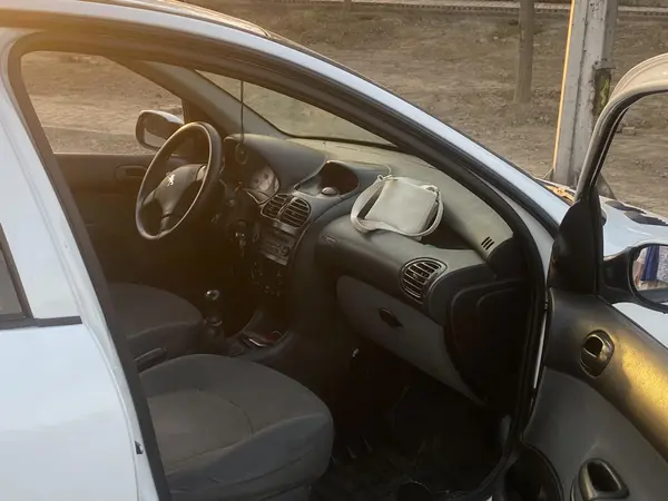 پژو 206 تیپ 5 - 1393