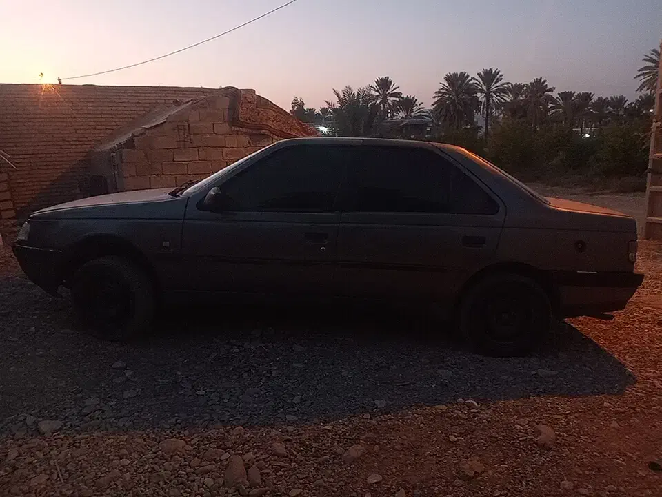 پژو 405 GLX - دوگانه سوز - 1390