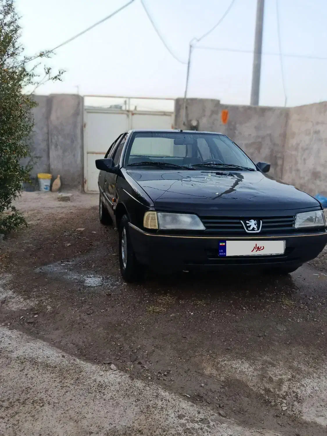 پژو 405 GL - دوگانه سوز CNG - 1381