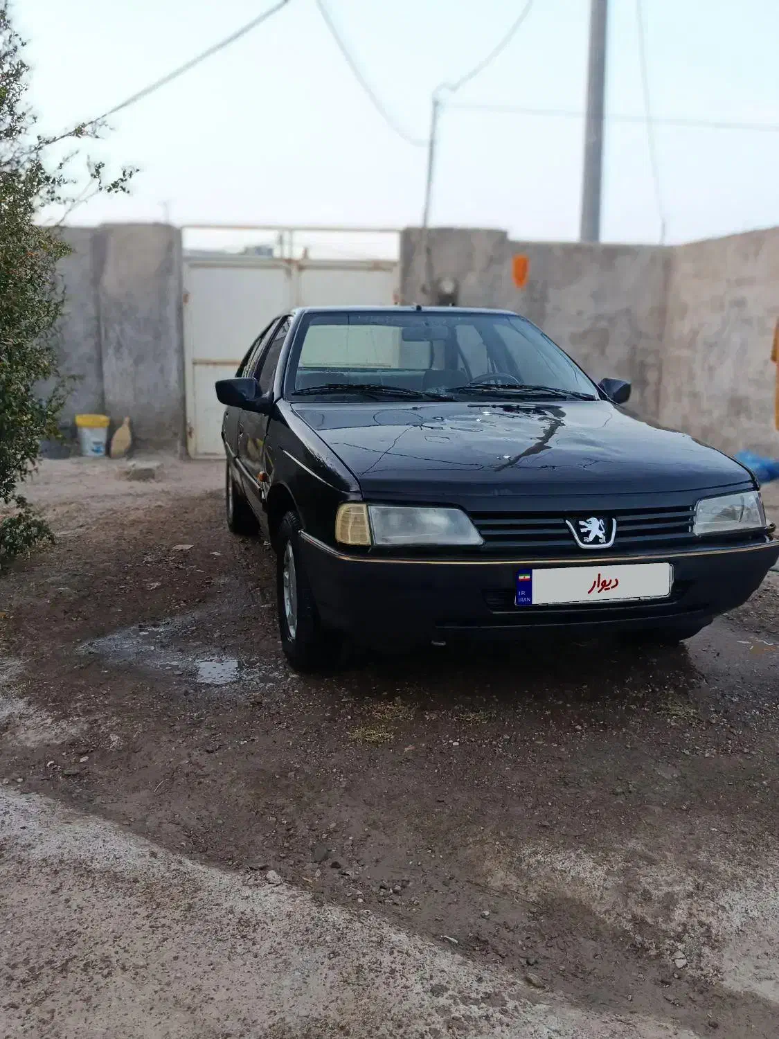 پژو 405 GL - دوگانه سوز CNG - 1381