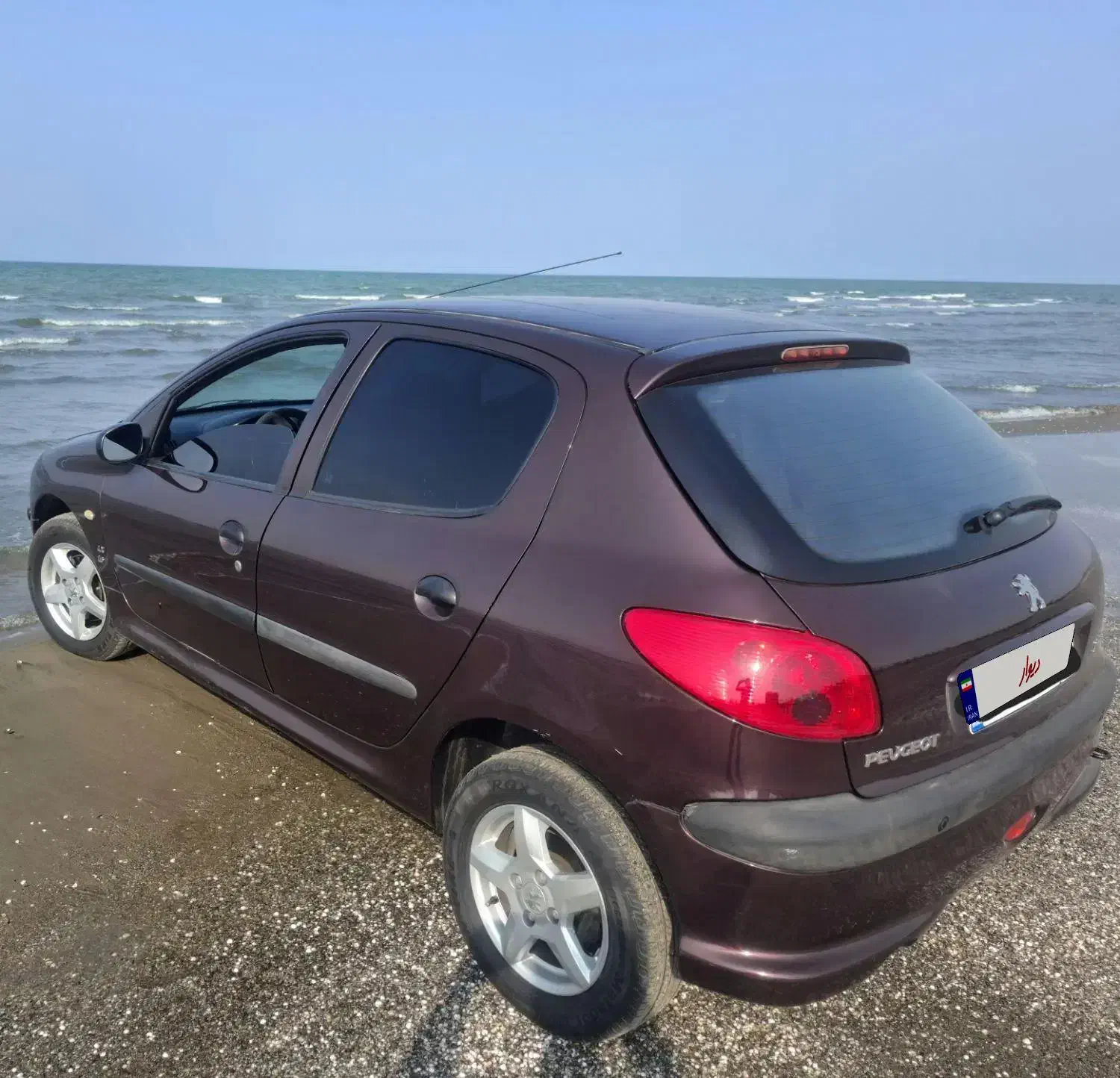 پژو 206 تیپ 5 - 1393